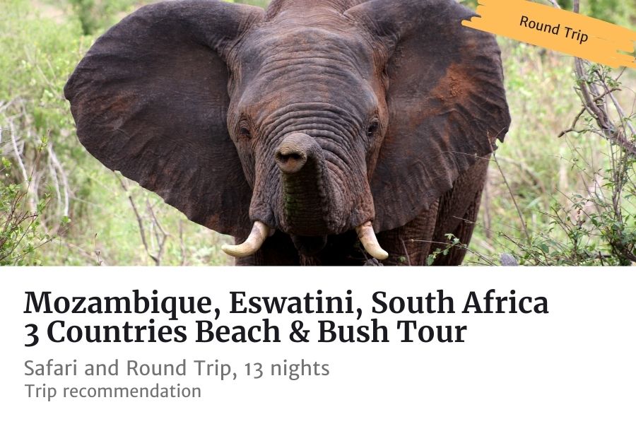 southern africa tour